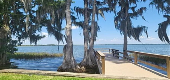 1101 Lakeshore Blvd Tavares Florida, 32778 | Stunning Totally Renovated Home