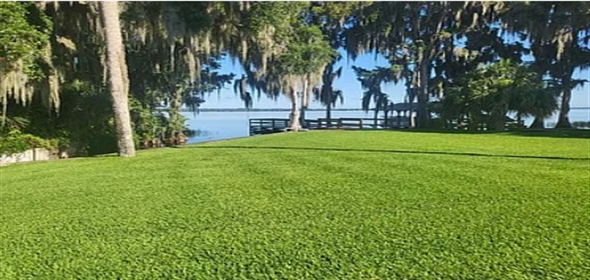 1101 Lakeshore Blvd Tavares Florida, 32778 | Stunning Totally Renovated Home