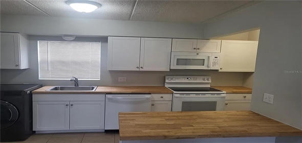 1100 E Caroline St APT 115 Tavares Florida, 32778 | Exclusive Family Home
