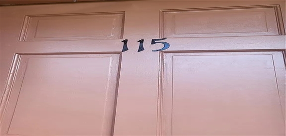 1100 E Caroline St APT 115 Tavares Florida, 32778 | Exclusive Family Home