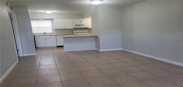 1100 E Caroline St APT 115 Tavares Florida, 32778 | Exclusive Family Home