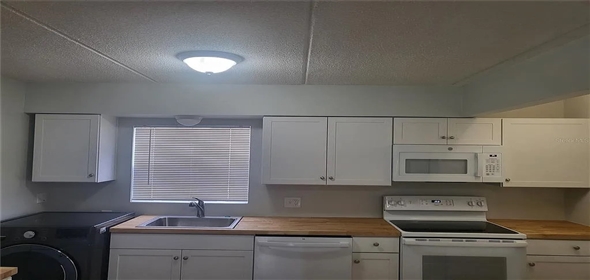 1100 E Caroline St APT 115 Tavares Florida, 32778 | Exclusive Family Home
