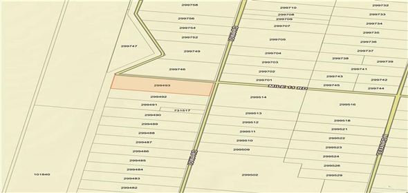 0 W Iowa Road Mission Texas, 78572 | Land for sale