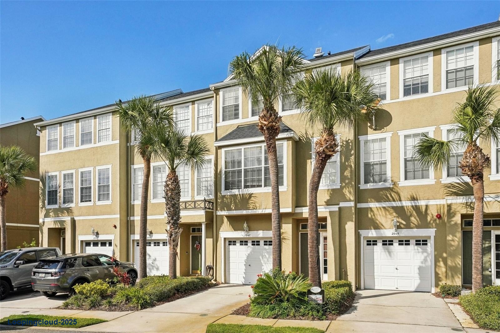 Cozy and Beautiful Condo