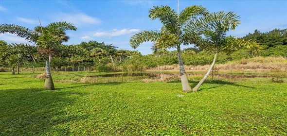 1210 Hartman Road Fort Pierce Florida, 34947 | 1210 Hartman Rd