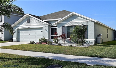 11879 DOWNY BIRCH DRIVE , Riverview Florida                                                                                              33569