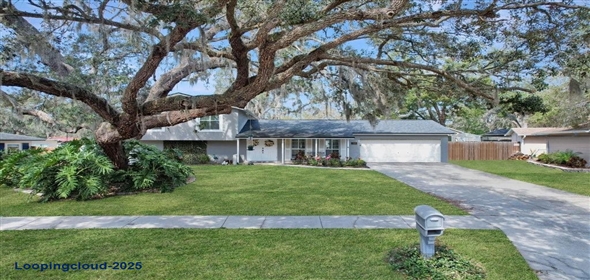 3621 WOODHILL DRIVE Brandon Florida, 33511 | Stunning Singlefamily