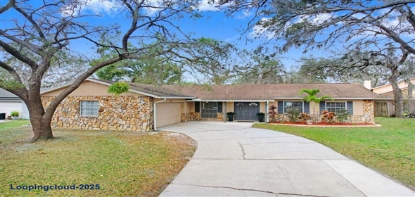 3619 WOODHILL DRIVE Brandon Florida, 33511 | Amazing and Beautiful Home