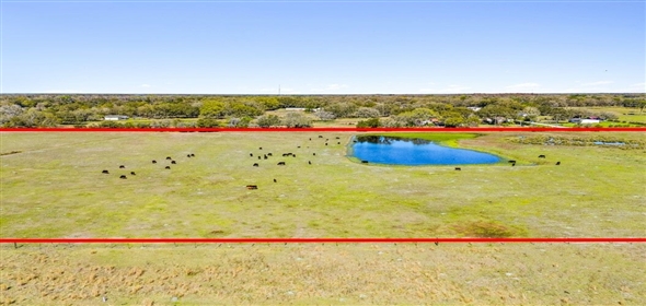 Thonotosassa Road Dover Florida, 33527 | 100 Acres Dover, Fl