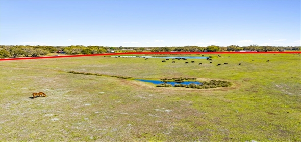 Thonotosassa Road Dover Florida, 33527 | 100 Acres Dover, Fl