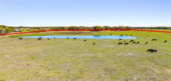 Thonotosassa Road Dover Florida, 33527 | 100 Acres Dover, Fl