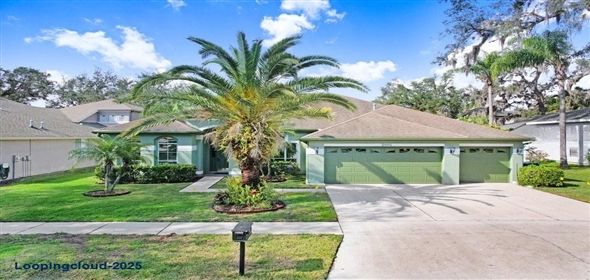 2005 WEXFORD GREEN DRIVE Valrico Florida, 33594 | Beautiful Singlefamily