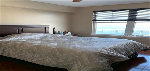 345 BAYSHORE BOULEVARD 911 Tampa Florida, 33606 | Cozy Condo