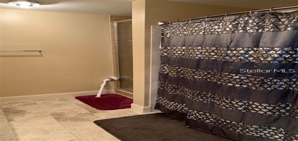 345 BAYSHORE BOULEVARD 911 Tampa Florida, 33606 | Cozy Condo