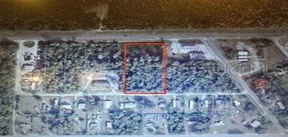 1800 E. State Road 40 Silver Springs Florida, 34488 | Land For Sale in Silver Springs