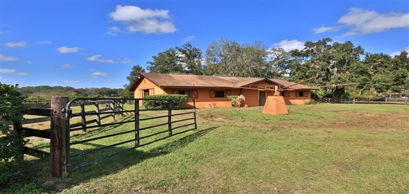 8550 NW 136TH Avenue Road Ocala Florida, 34482 | Exquisite Gentleman Horse Farm