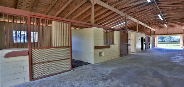 8550 NW 136TH Avenue Road Ocala Florida, 34482 | Exquisite Gentleman Horse Farm