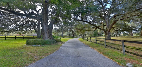8550 NW 136TH Avenue Road Ocala Florida, 34482 | Exquisite Gentleman Horse Farm