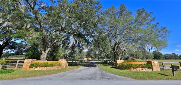 8550 NW 136TH Avenue Road Ocala Florida, 34482 | Exquisite Gentleman Horse Farm