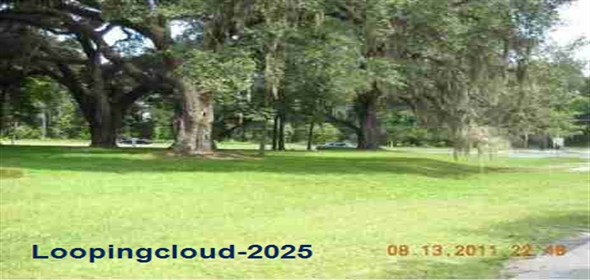 720 NW 80 BOULEVARD Gainesville Florida, 32607 | Stunning 4-bedroom Home