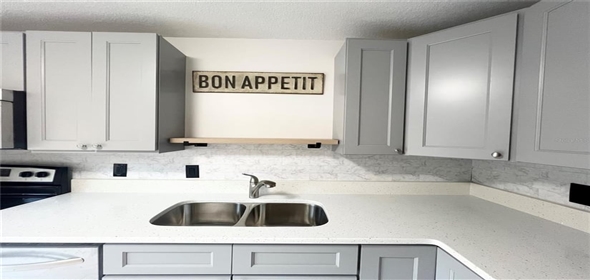 3180 Owassa COURT Good Samaritan Florida, 34746 | Beautiful 2 bedroom 2 bathroom Home