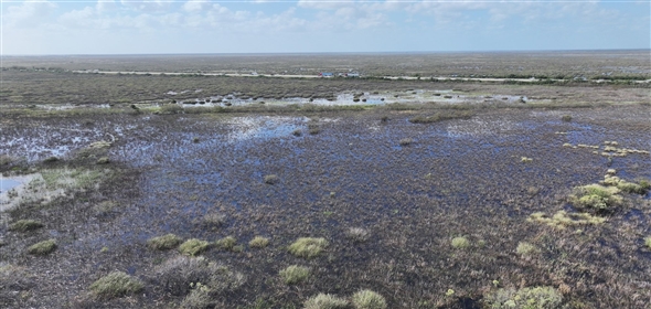 Barton Boulevard Rockledge Florida, 32955 | Waterfowl Project