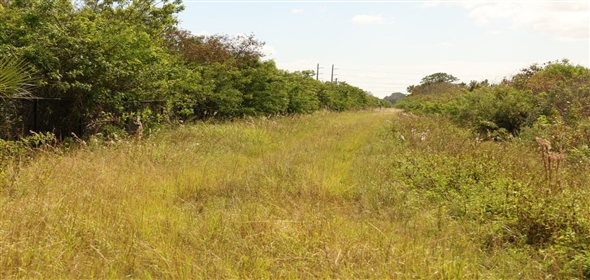 Barton Boulevard Rockledge Florida, 32955 | Waterfowl Project