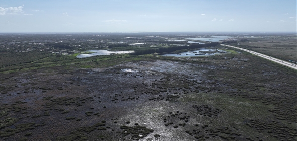 Barton Boulevard Rockledge Florida, 32955 | Waterfowl Project