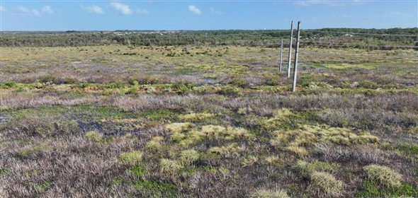 Barton Boulevard Rockledge Florida, 32955 | Waterfowl Project