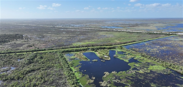 Barton Boulevard Rockledge Florida, 32955 | Waterfowl Project