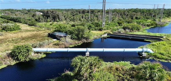 Barton Boulevard Rockledge Florida, 32955 | Waterfowl Project