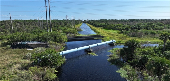 Barton Boulevard Rockledge Florida, 32955 | Waterfowl Project