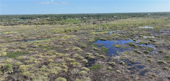Barton Boulevard Rockledge Florida, 32955 | Waterfowl Project