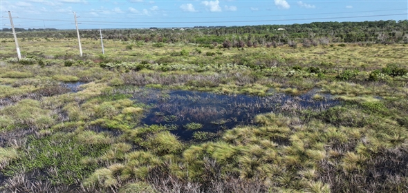 Barton Boulevard Rockledge Florida, 32955 | Waterfowl Project