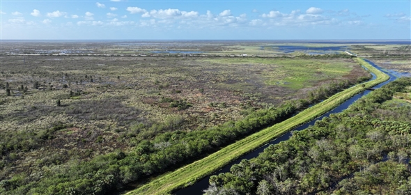 Barton Boulevard Rockledge Florida, 32955 | Waterfowl Project