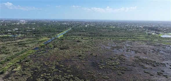 Barton Boulevard Rockledge Florida, 32955 | Waterfowl Project