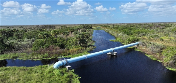 Barton Boulevard Rockledge Florida, 32955 | Waterfowl Project