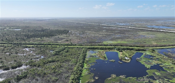 Barton Boulevard Rockledge Florida, 32955 | Waterfowl Project