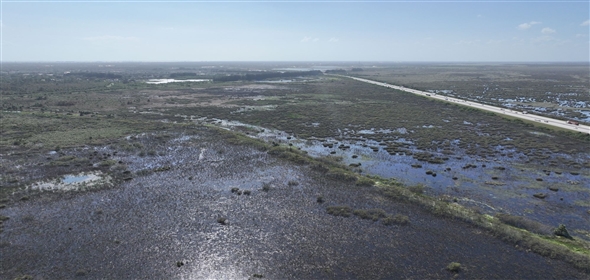 Barton Boulevard Rockledge Florida, 32955 | Waterfowl Project