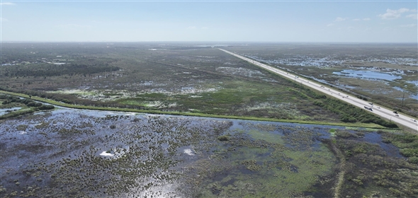 Barton Boulevard Rockledge Florida, 32955 | Waterfowl Project