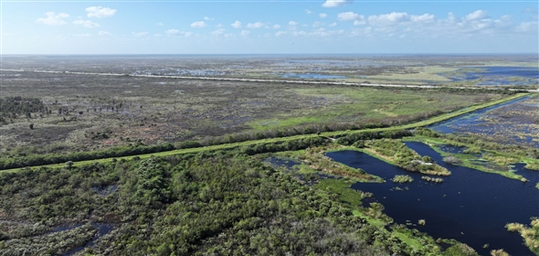 Barton Boulevard Rockledge Florida, 32955 | Waterfowl Project