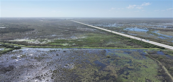 Barton Boulevard Rockledge Florida, 32955 | Waterfowl Project