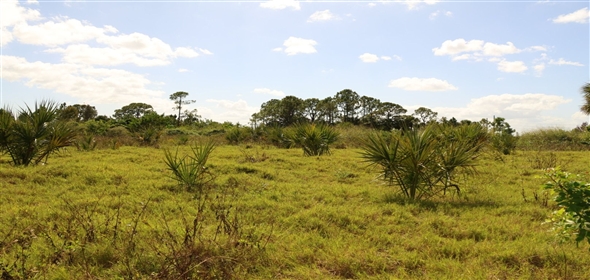Barton Boulevard Rockledge Florida, 32955 | Waterfowl Project
