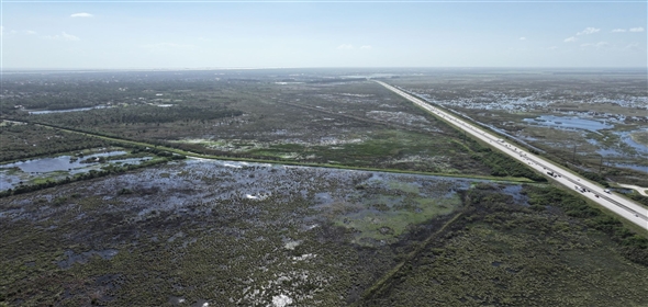 Barton Boulevard Rockledge Florida, 32955 | Waterfowl Project