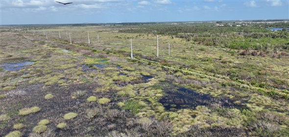 Barton Boulevard Rockledge Florida, 32955 | Waterfowl Project