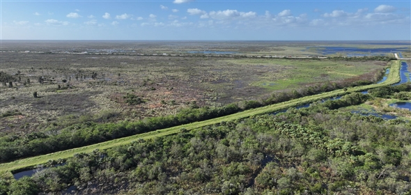 Barton Boulevard Rockledge Florida, 32955 | Waterfowl Project