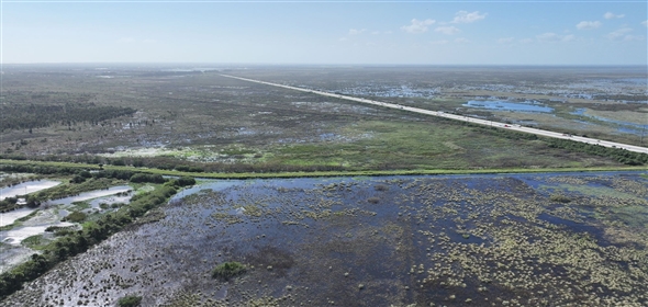 Barton Boulevard Rockledge Florida, 32955 | Waterfowl Project