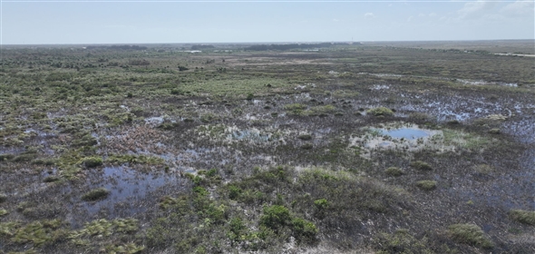 Barton Boulevard Rockledge Florida, 32955 | Waterfowl Project