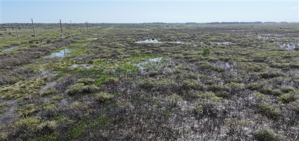 Barton Boulevard Rockledge Florida, 32955 | Waterfowl Project