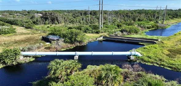 Barton Boulevard Rockledge Florida, 32955 | Waterfowl Project